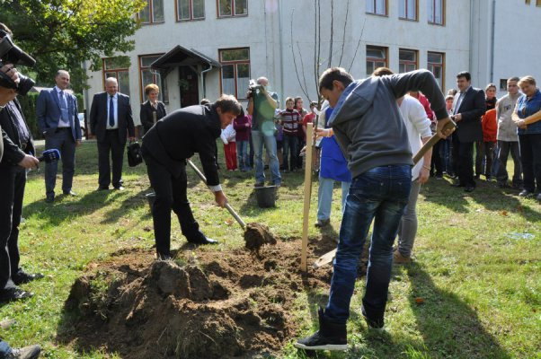 EGYÜNK, IGYUNK EGÉSZSÉGESEN! MŰHELYMUNKA