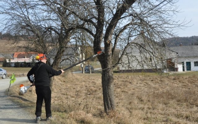 KASZÁLÓ GYÜMÖLCSÖSÖK MEGÚJÍTÓ METSZÉSÉT BEMUTATÓ MŰHELYMUNKA